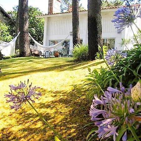Cabedelo Beach House Viana do Castelo Bagian luar foto
