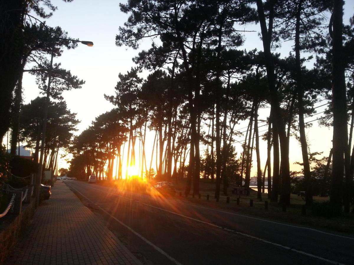Cabedelo Beach House Viana do Castelo Bagian luar foto